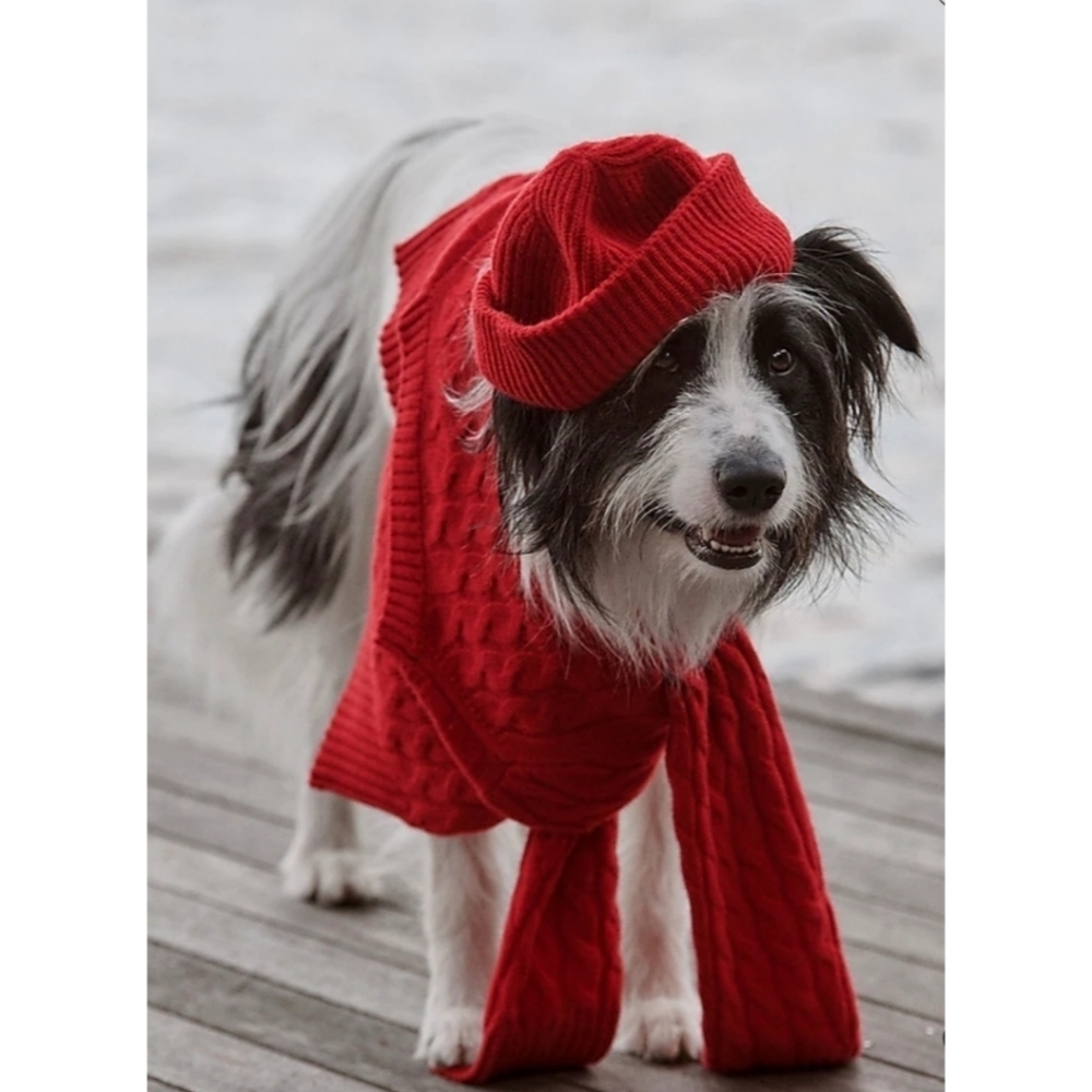 J.Crew Ribbed Cashmere Beanie - Picture 5 of 6